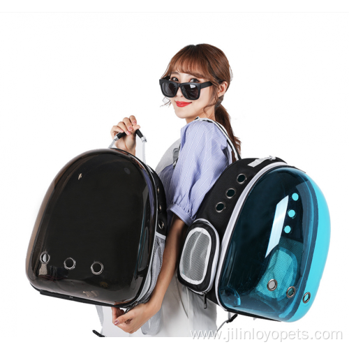 Pet carrier backpack airline approved